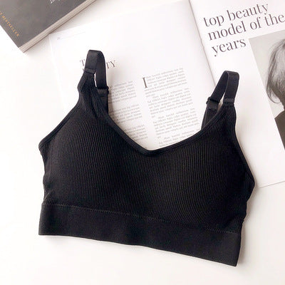 Ascend Seamless Cotton Bra