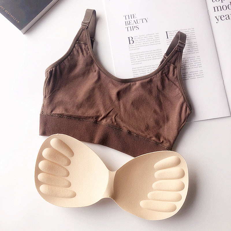 Ascend Seamless Cotton Bra