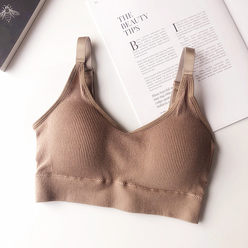Ascend Seamless Cotton Bra
