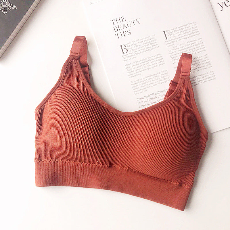 Ascend Seamless Cotton Bra