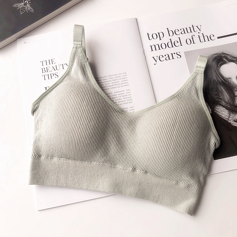 Ascend Seamless Cotton Bra