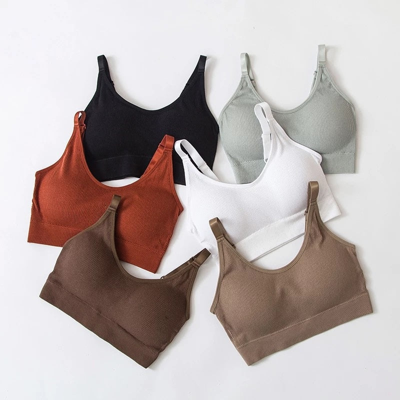 Ascend Seamless Cotton Bra
