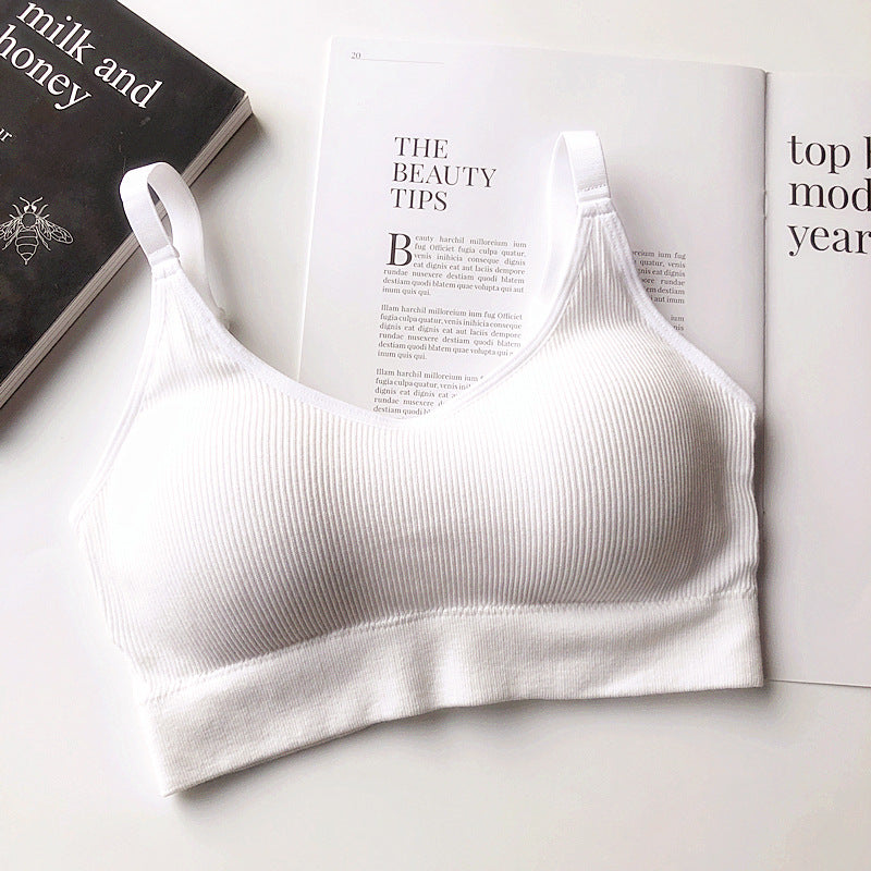 Ascend Seamless Cotton Bra