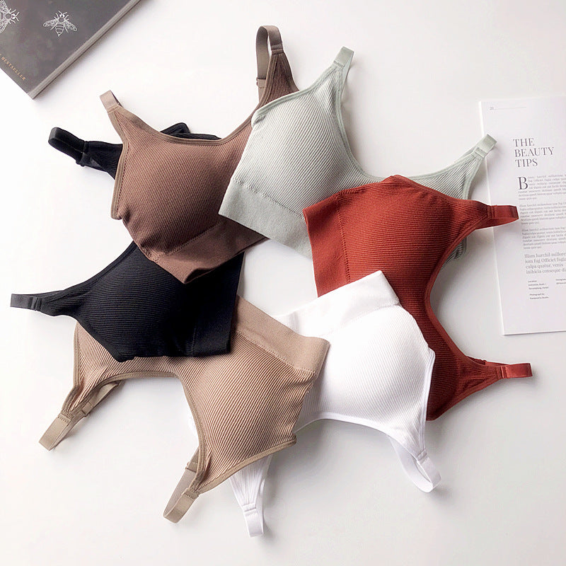Ascend Seamless Cotton Bra