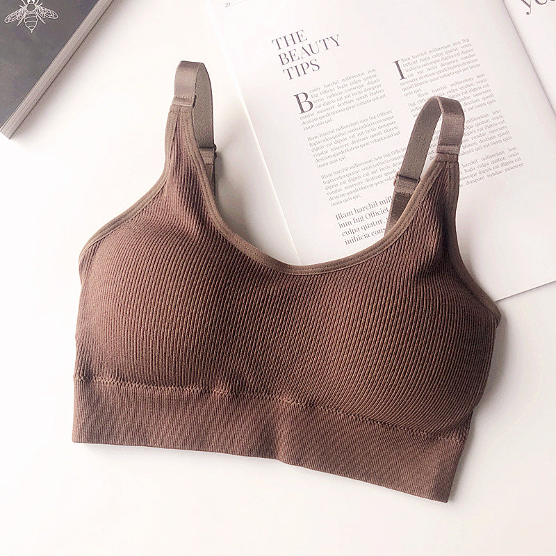 Ascend Seamless Cotton Bra