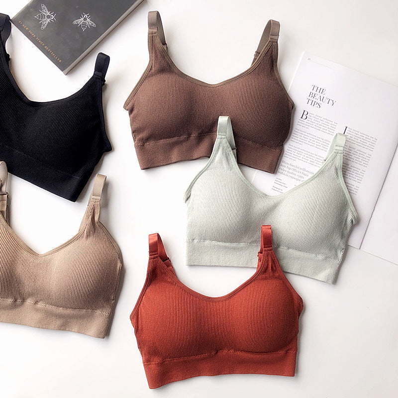 Ascend Seamless Cotton Bra